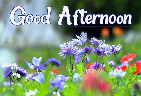 Good afternoon from .